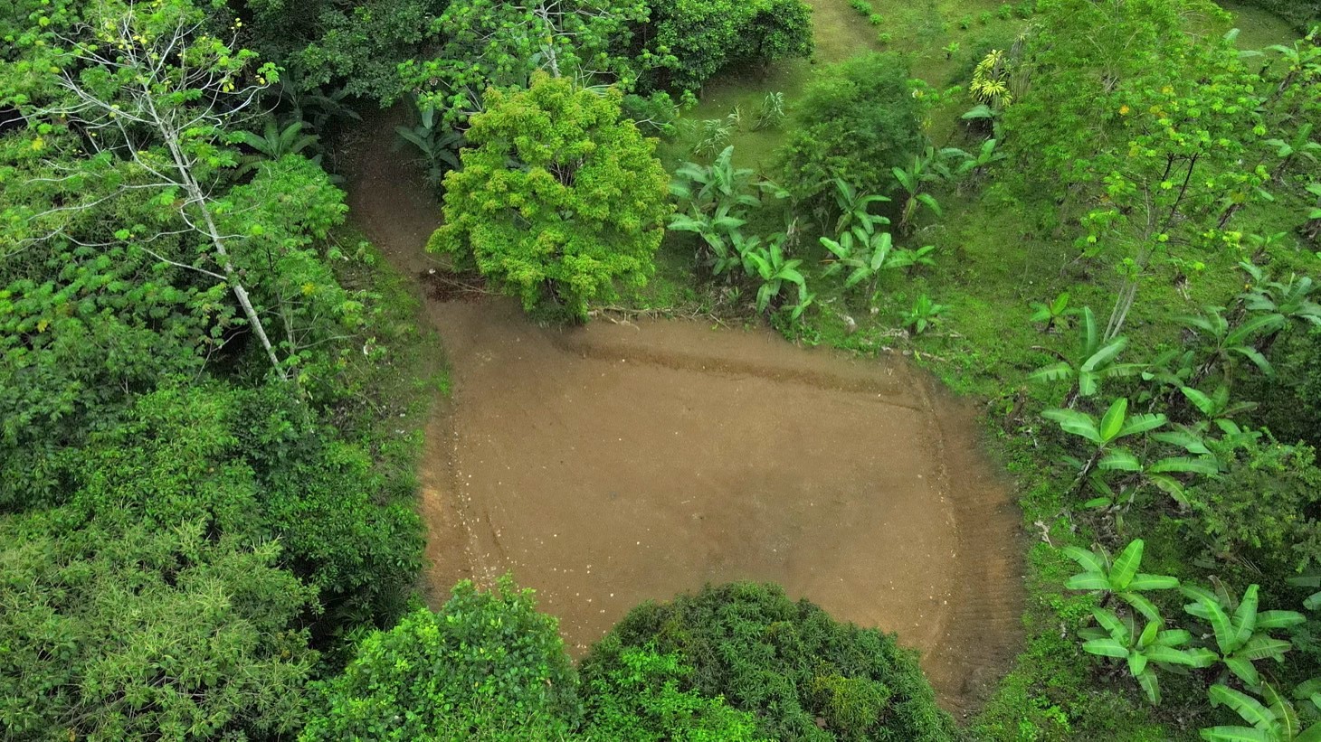 Mountain View Home Site with Seasonal Waterfall and Mature Fruit Trees selected
