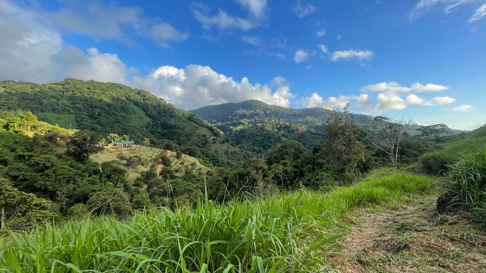 145 Acres With Swimming Holes, Waterfalls And Ocean Views selected