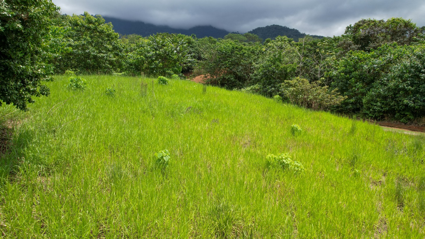 Prime Lot in Phase 11, Ojochal – Privacy, Views & Space to Create selected