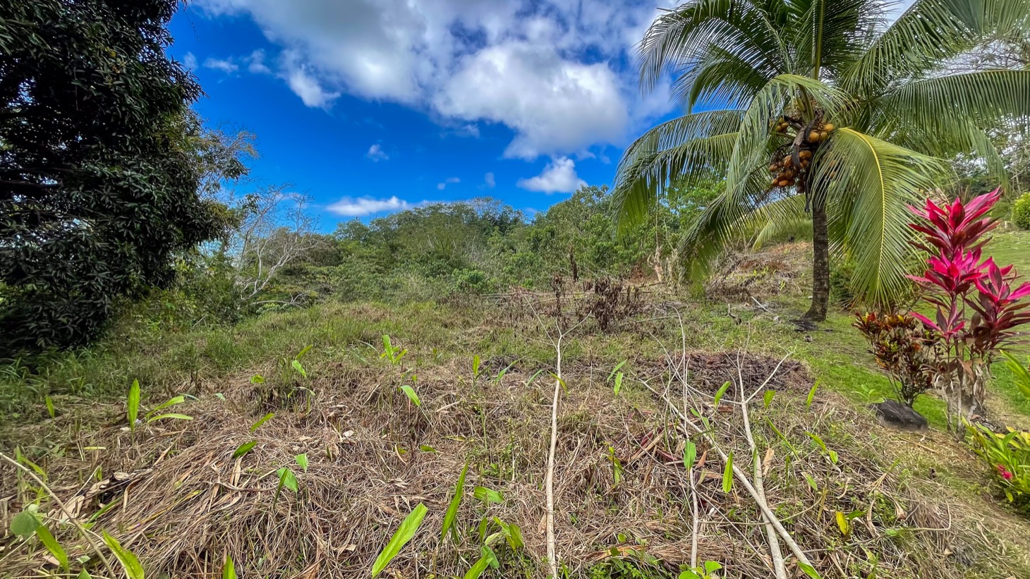 Ocean - Mountain View Lot for Sale in Ojochal, Costa Rica  selected