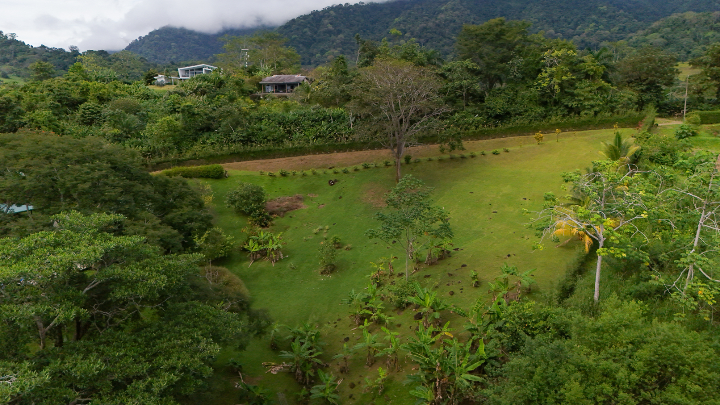 Luxury Ocean-View Estate with Infinity Pool, Main House & Guest House, Ojochal selected