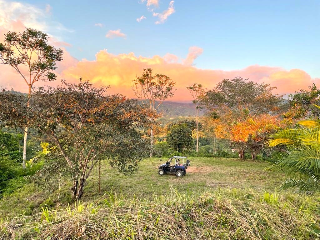 Two Ocean View Properties in Ojochal – 5.33 Acres of Pure Paradise selected