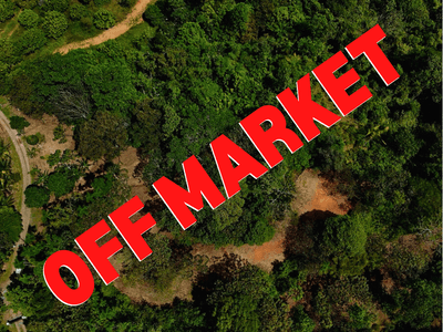Prime Ready-to-Build Lot in Ojochal – Privacy, Nature, and Convenience image 1