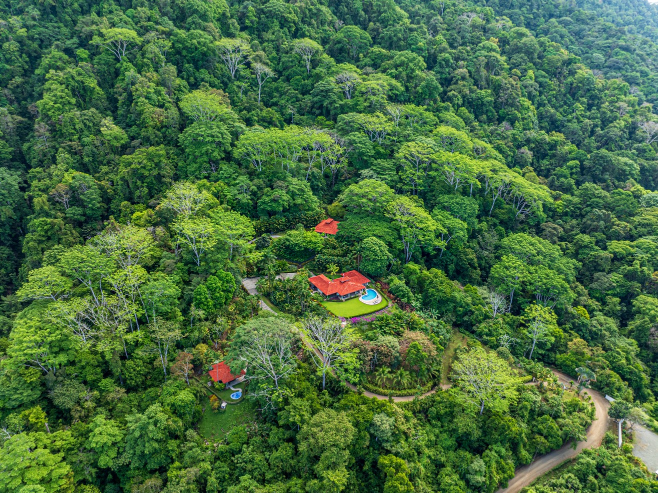 10.9-Acre Luxury Estate with Ocean Views, 3 Homes & Expansion Potential in Tres Ríos selected