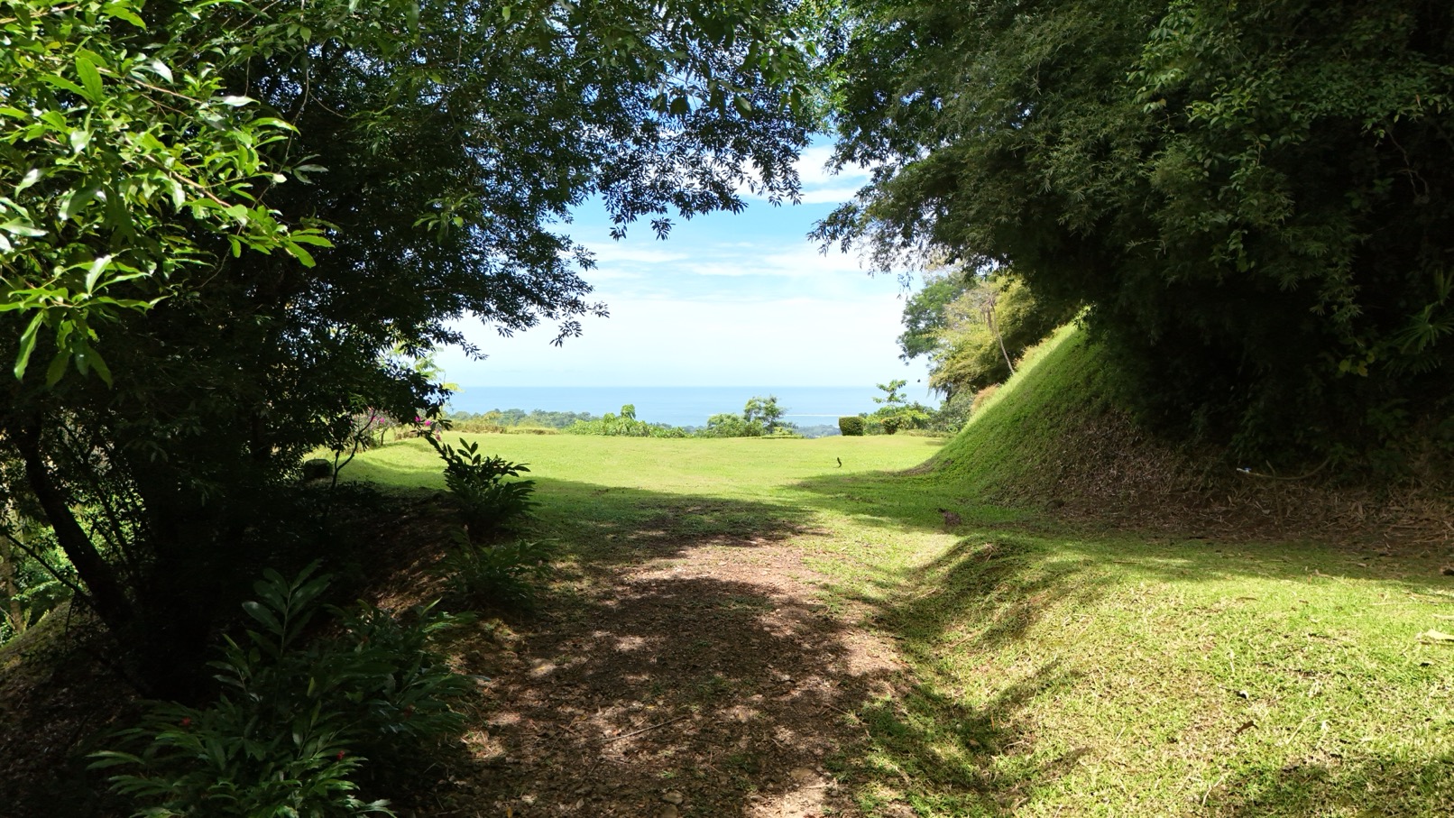 Expansive Oceanview Estate Lot in Uvita selected