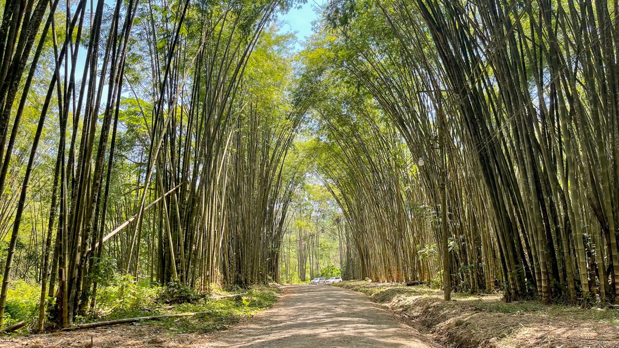 Private & Ready to Build Ocean View Land for Sale in Uvita, Costa Rica  selected