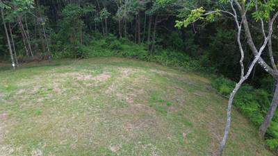 Your Private Jungle Retreat Just Minutes from Dominical image 5