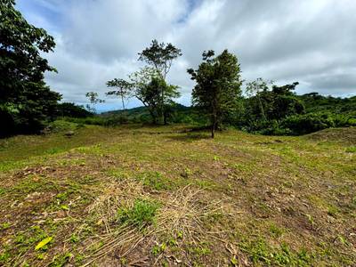 Ocean View Gem with Exceptional Usability near Dominical image 4