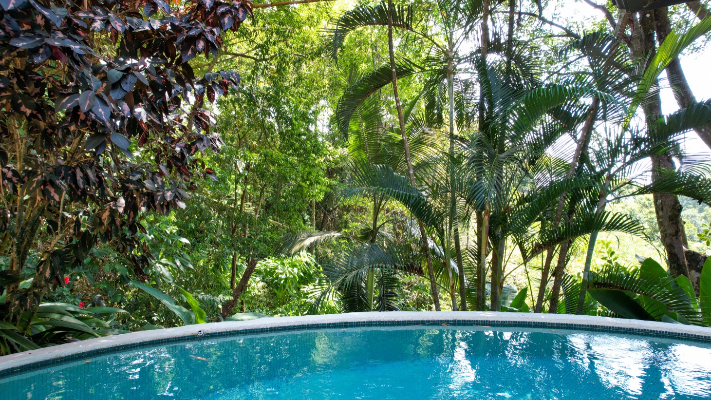 Offered as a Package Deal | 26-Room Hotel + 2BR House | $2.3M selected