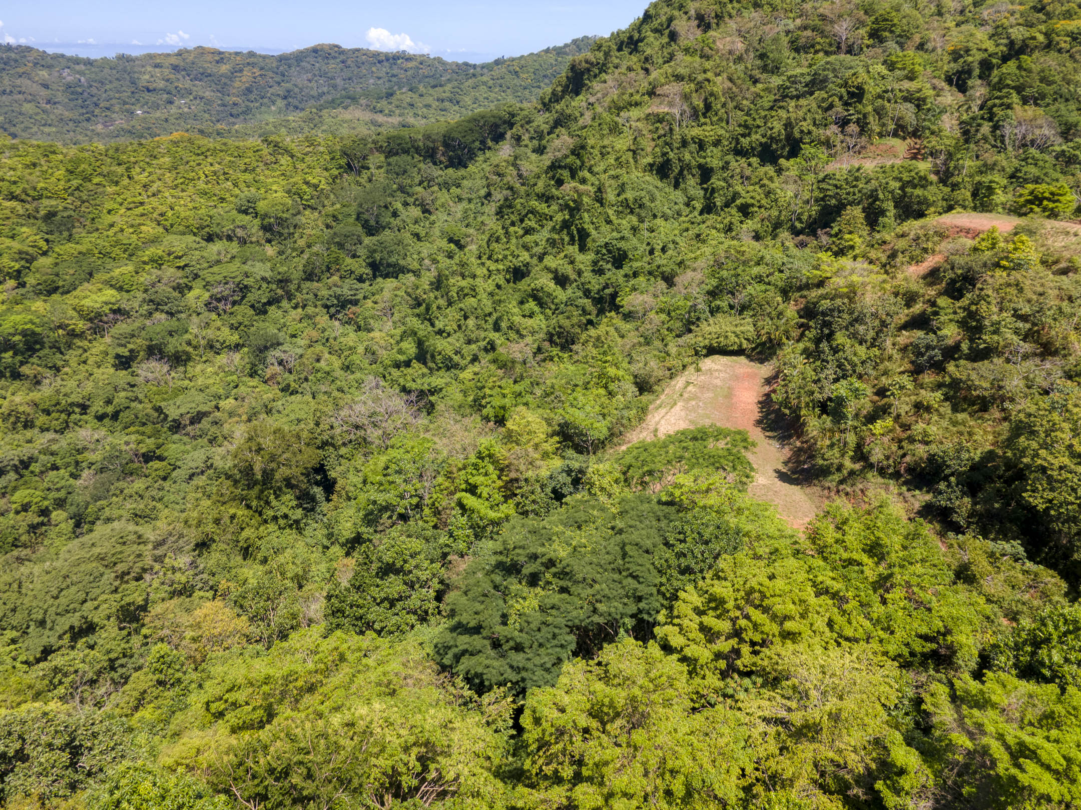 26 Acres With Ocean, Mountain & Waterfall View In Platanillo selected