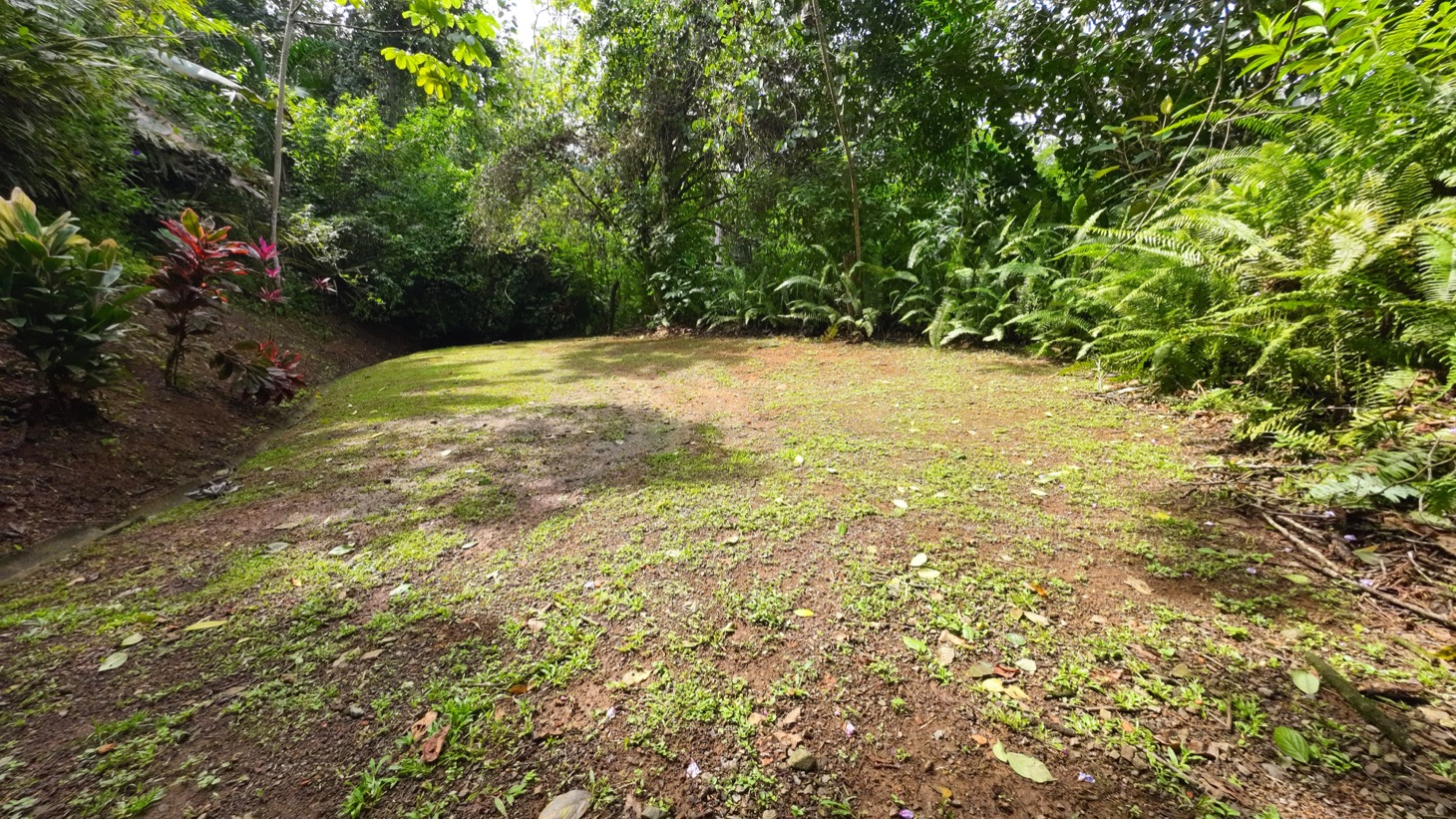 Valley of Dreams - A Beautiful Multi-Use Property Near Cacao Ridge, 10.85 Acres at a Phenomenal Price! selected