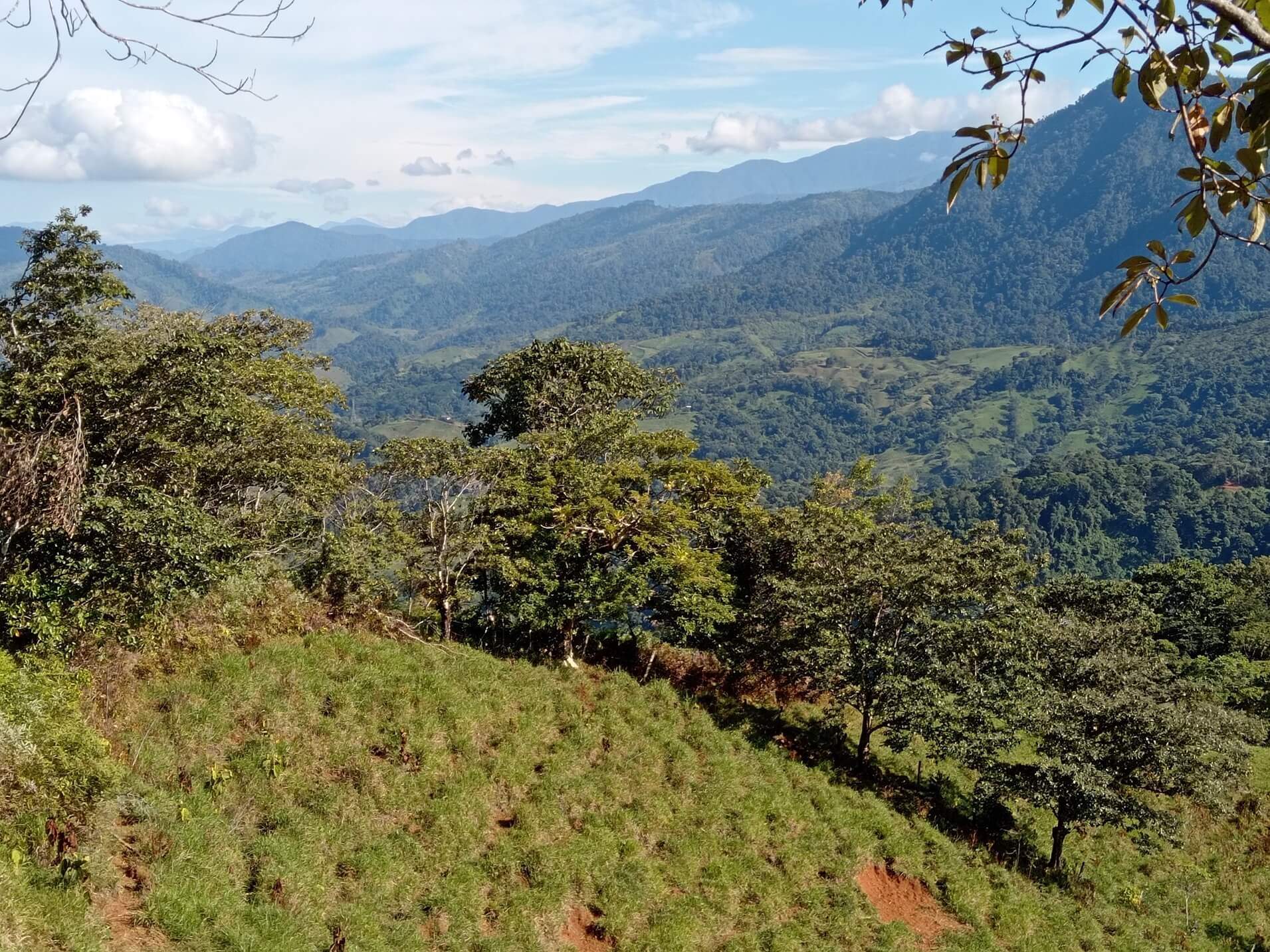 79Acre Farm In Tinamastes, Costa Rica