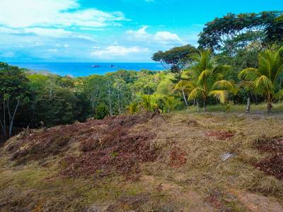 Prime Development Opportunity in Ballena – Commercial and Residential Zoning image 3