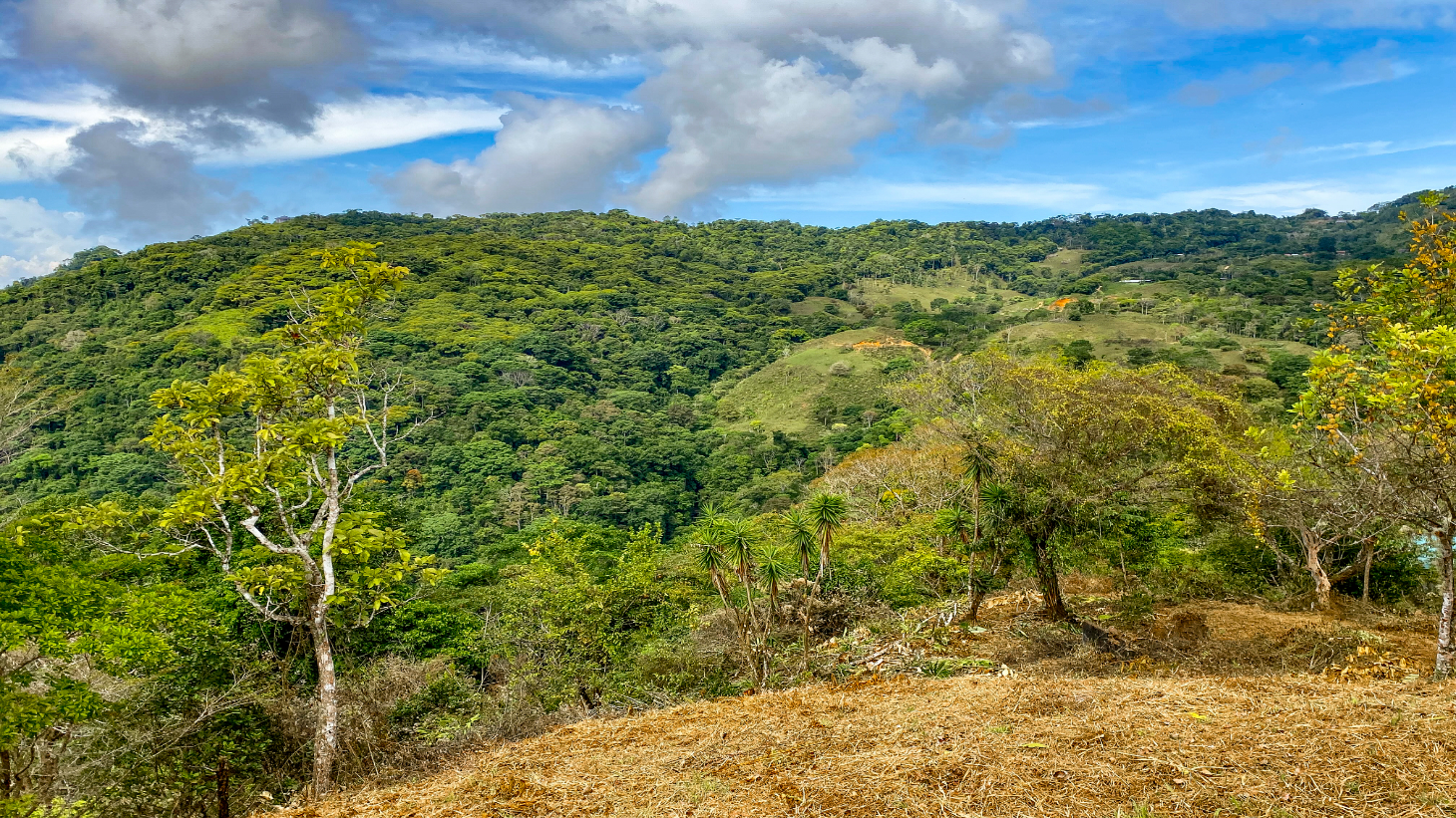 1.5 Acre Ocean & Mountain View Lot Near Uvita | Legal Water & Privacy selected