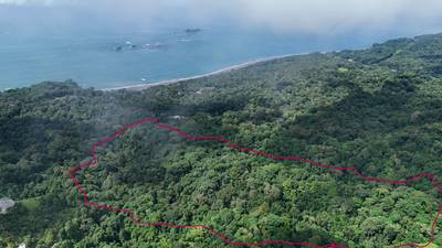 87 Acres of Natural Wonder and Endless Possibility in Ballena, Costa Rica image 1