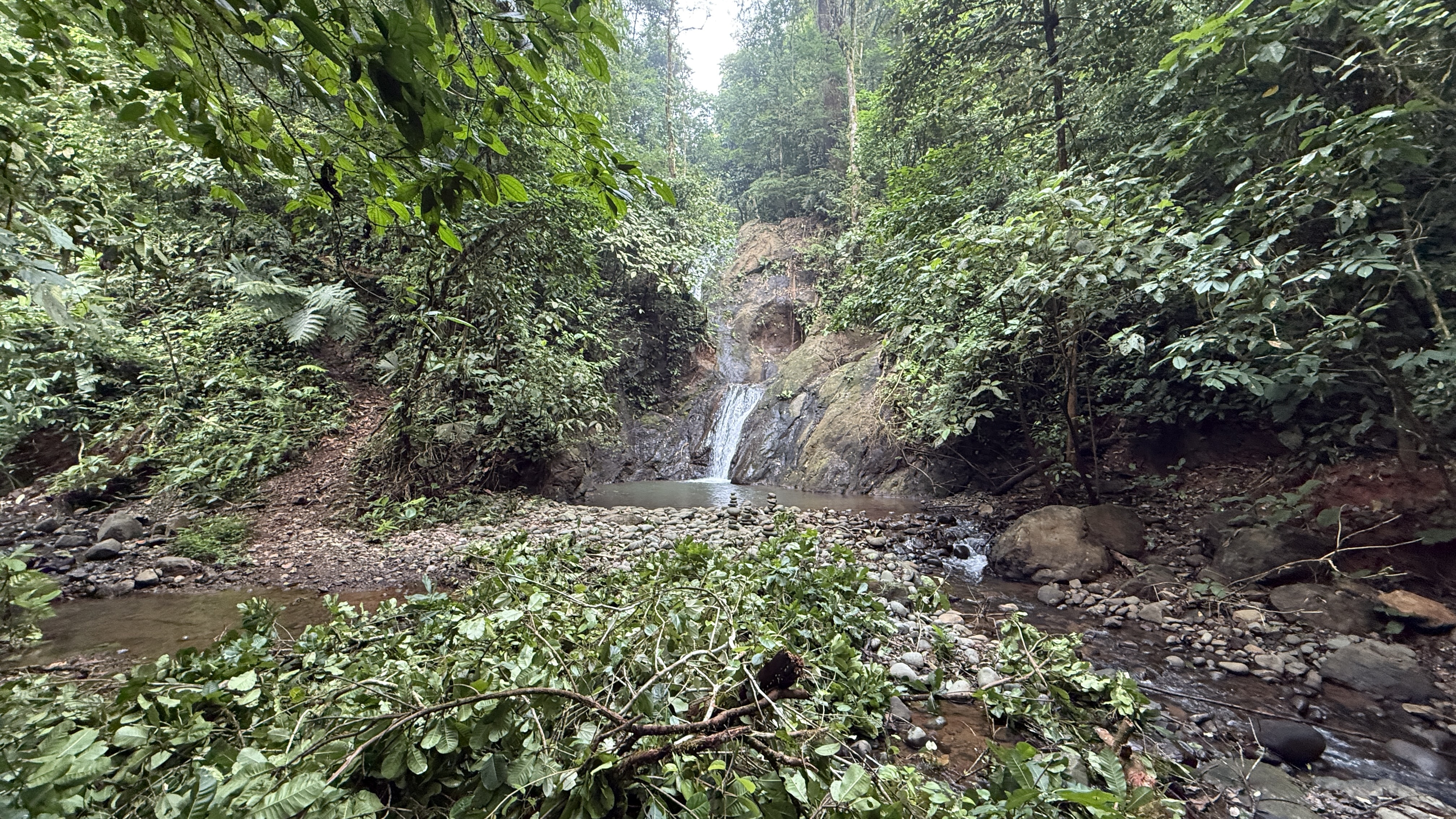 A Living Jungle Sanctuary on the River — 86 Hectares in Sabalo, Costa Rica selected