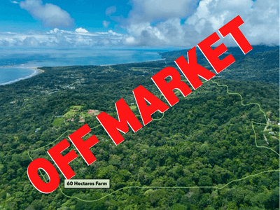 60 Hectares of Prime Land in Uvita – Ocean Views & Untouched Rainforest image 1
