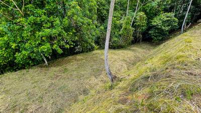 Ready-to-Build Jungle Lot in Ojochal’s Phase 10 Gated Community image 5