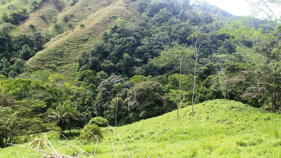 Beautiful 72 Acre Farm In Uvita With Waterfalls And Ocean Views selected