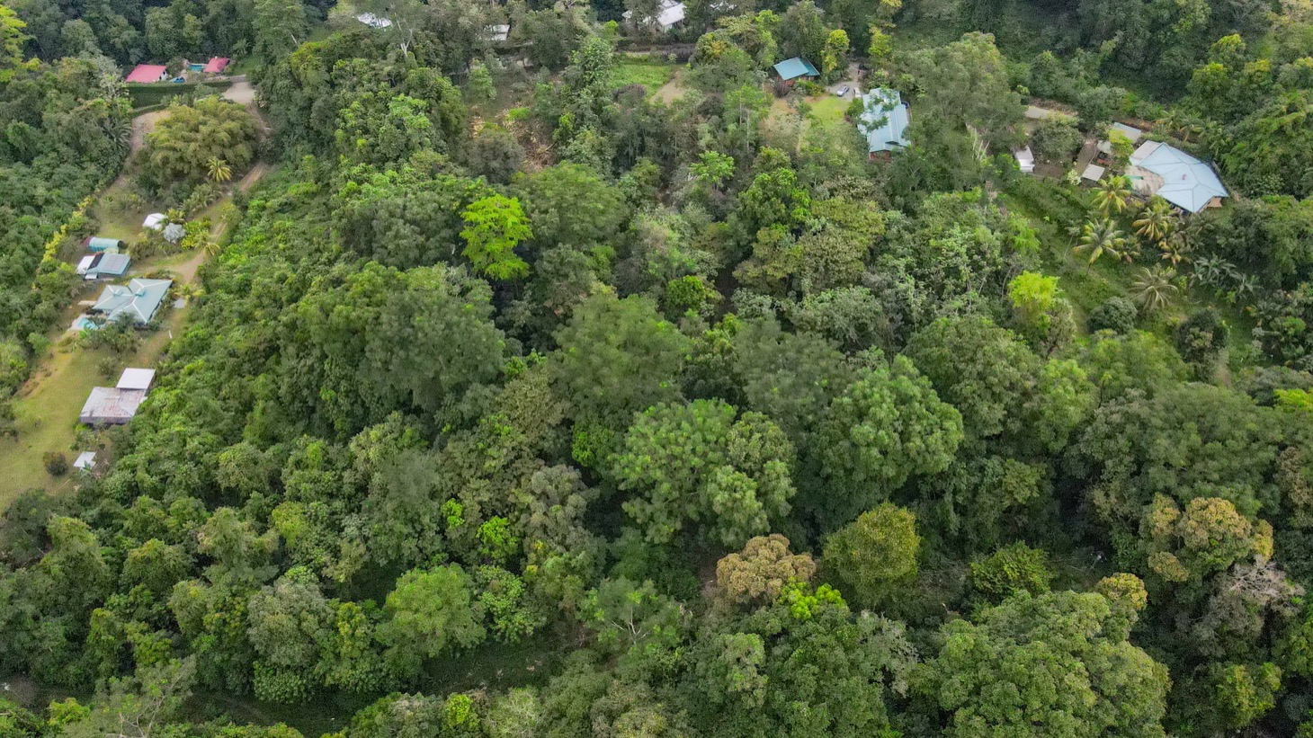 Riverfront Property for Sale in Ojochal, Costa Rica – Nearly 1 Hectare of Flat, Buildable Land selected