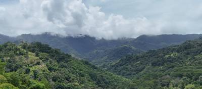 Expansive Oceanview Estate Lot in Uvita image 4