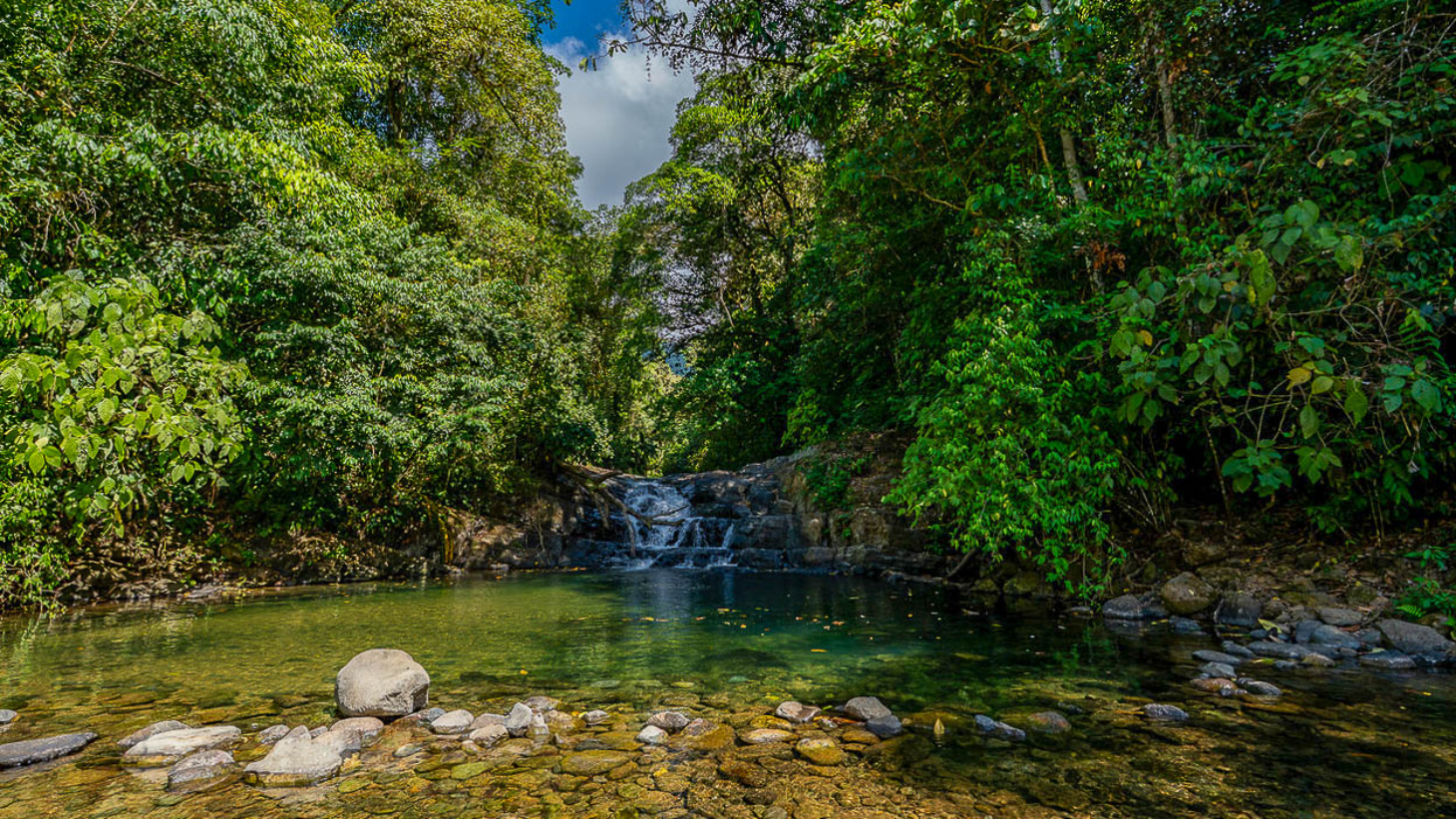 Whale Tail Views Luxury Waterfall Farm selected