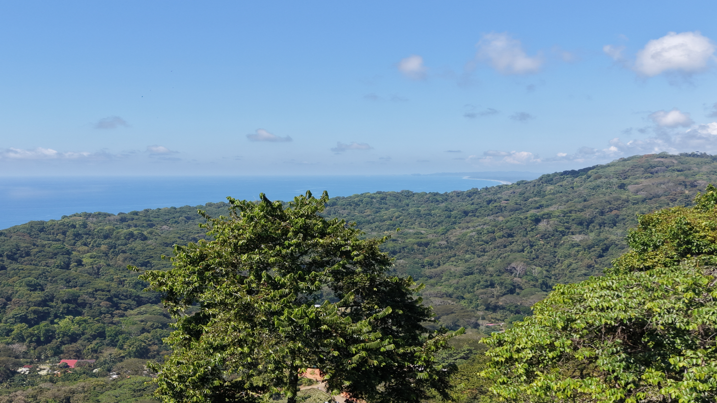Premium Ocean View Homesite in Vista Dominical Estates - Lot #17 selected