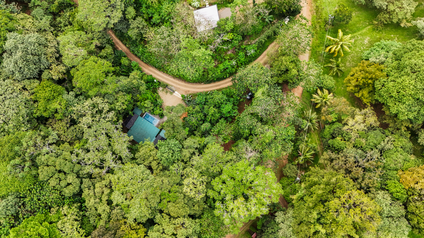 Turn-Key Luxury Boutique Jungle Bungalows + Build-Ready Expansion site – Profitable Airbnb in Ojochal selected