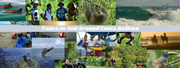 Activities And Tours In Costa Ballena, Costa Rica (2020 Edition)
