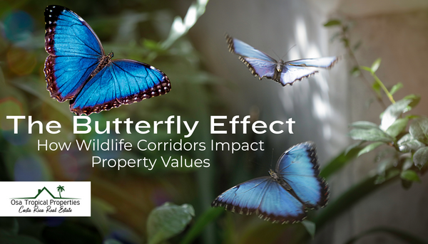 The Butterfly Effect: How Wildlife Corridors Impact Property Values