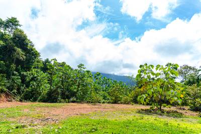 Secluded 2.9 Acre Jungle Lot with Mountain Views in San Buenas image 1