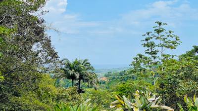 Best Opportunity in a Million-Dollar Neighborhood – Ocean-View Home with Rental Income & Expansion Potential image 5