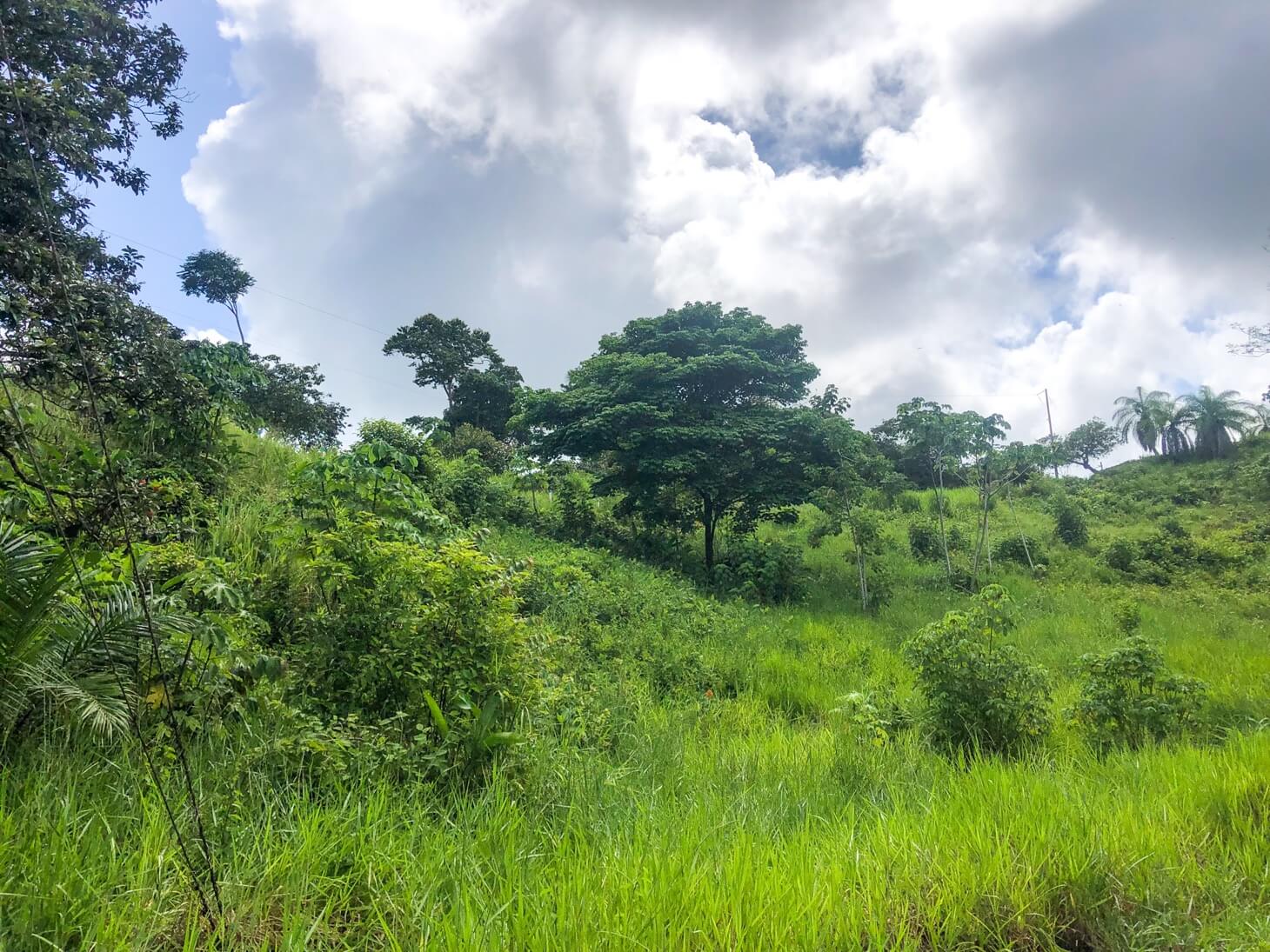 Affordable Building Lot selected