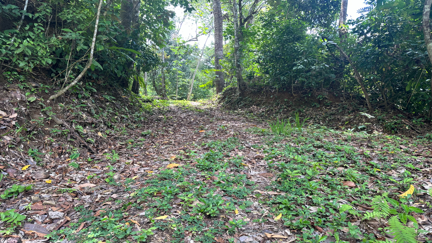 Ocean View Estate Lot with Private Waterfall – Uvita selected