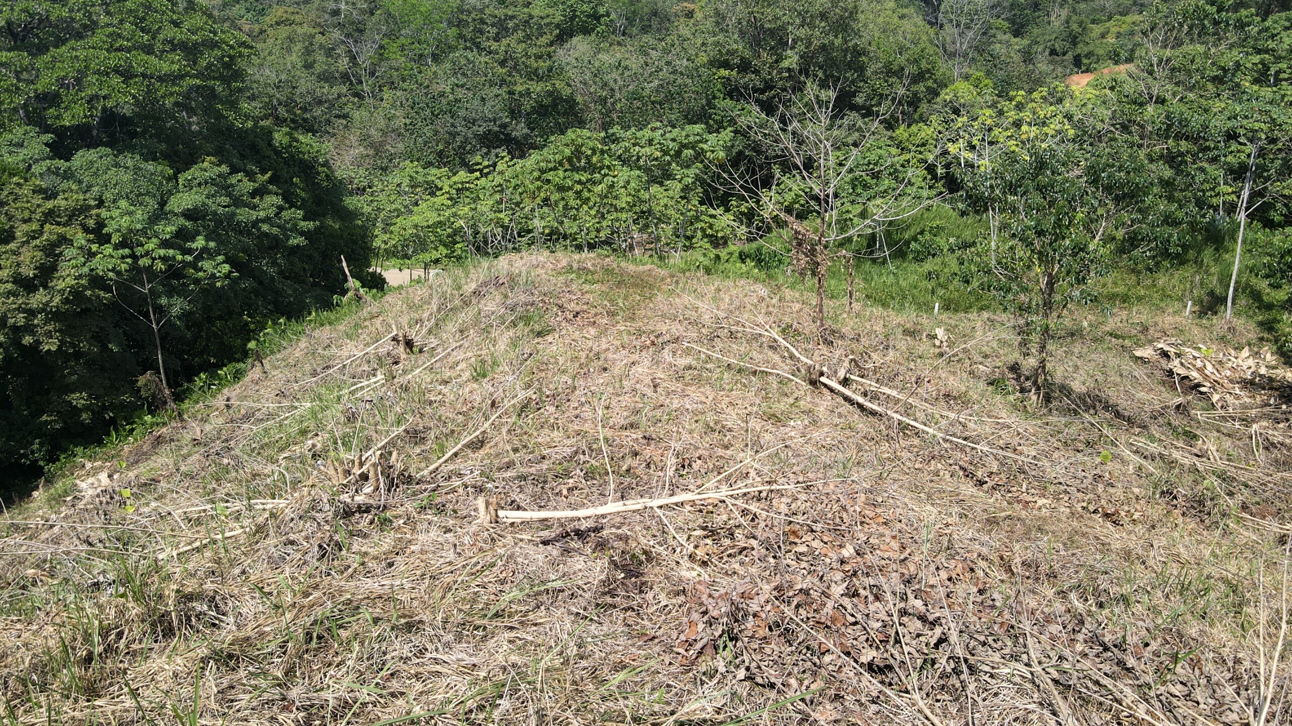 Sunset Ocean and Mountain View Lot In Ojochal selected