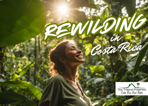 Rewilding in Costa Rica: Rediscovering Life Through Nature, Freedom, and Community