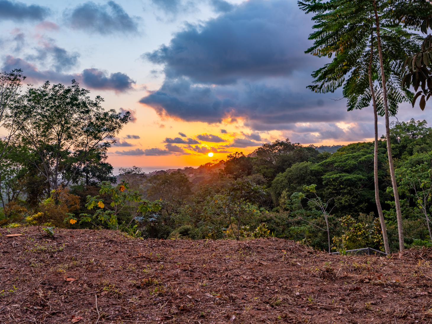 Ocean & Sunset View Lot for Sale in Ojochal, Costa Rica selected