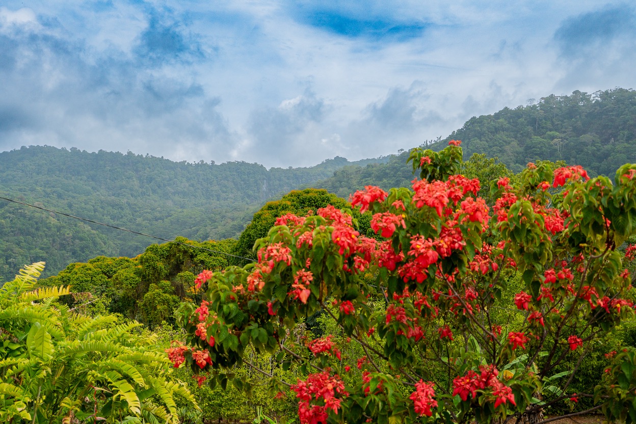 Ocean View Development Property with Waterfall Vista — 14.83 Acres in San Luis de Morete, Near Uvita selected