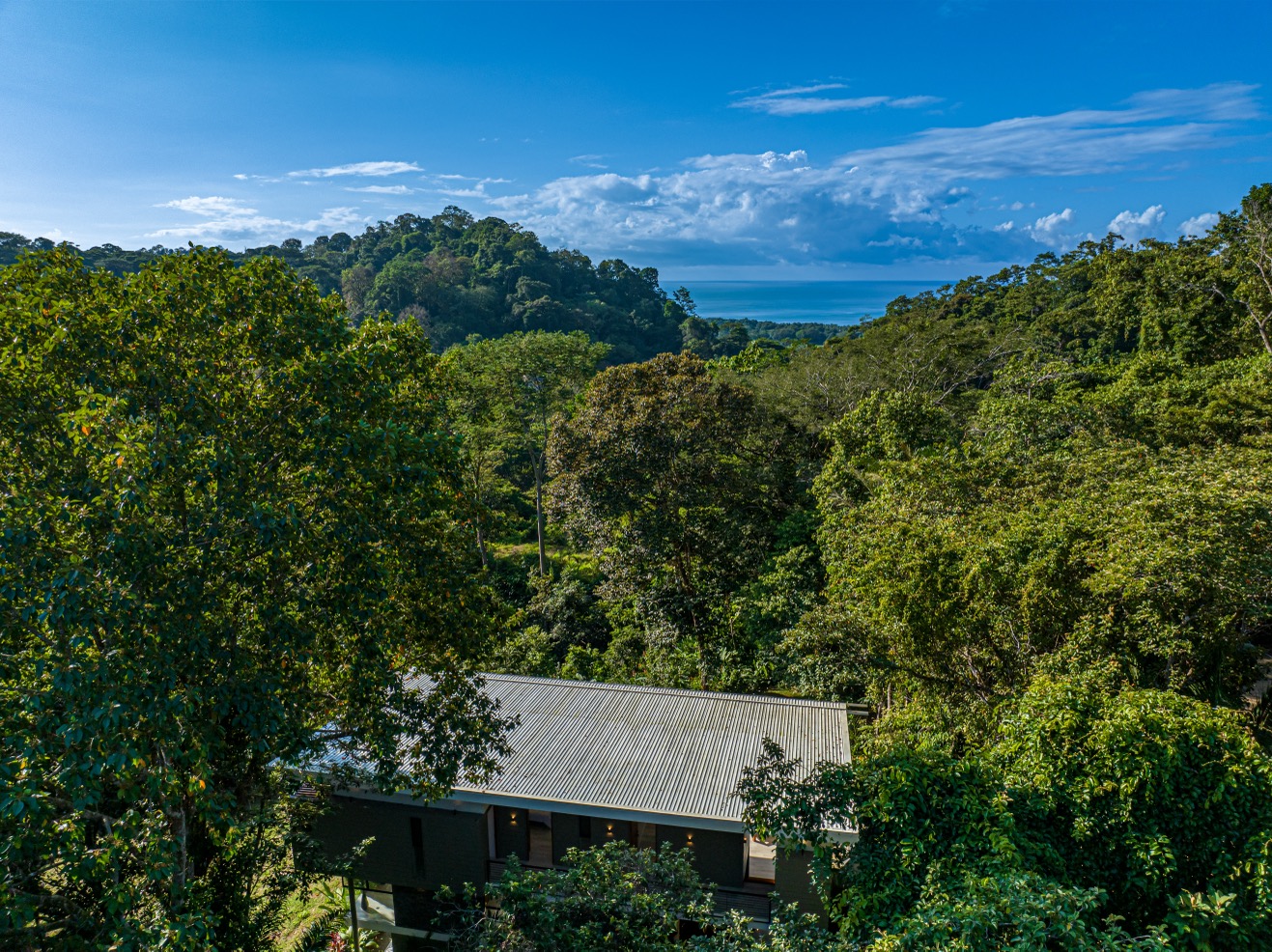Luxury 4-Bedroom Jungle Estate with Ocean Views in Hatillo selected
