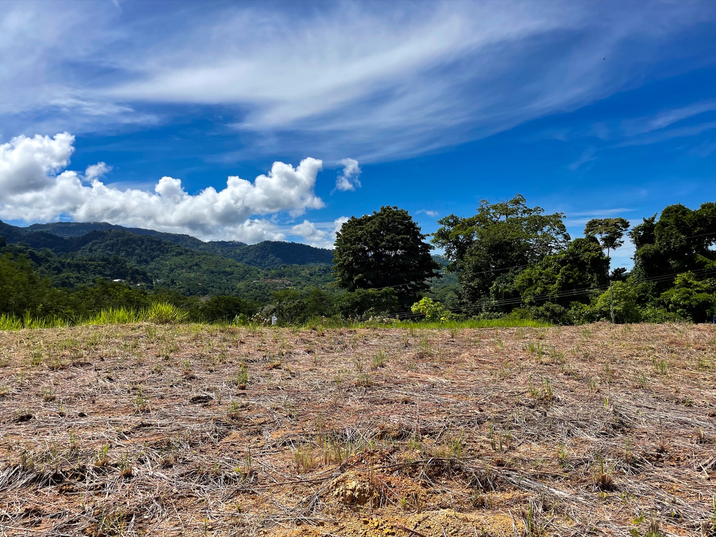 Spectacular Land for Sale in Ojochal's Premier Gated Community: Unparalleled Views, Size, and Security! selected