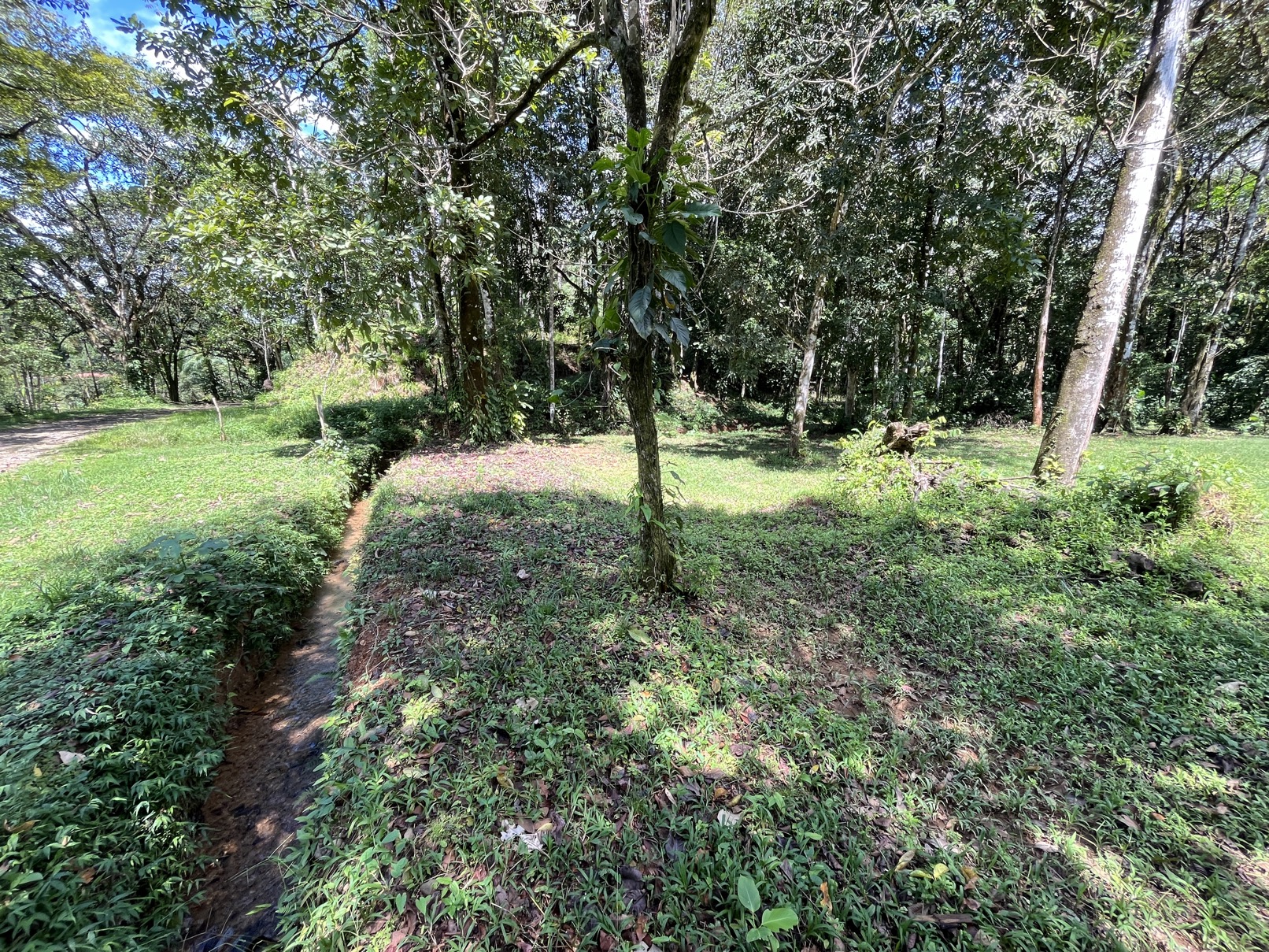 Flat Lot in Tortuga: Your Dream Project Awaits selected