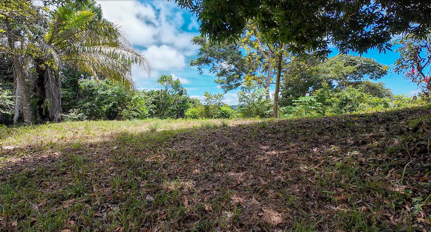 Stunning 16 acre Ocean View Property San Buenas, Costa Rica  selected