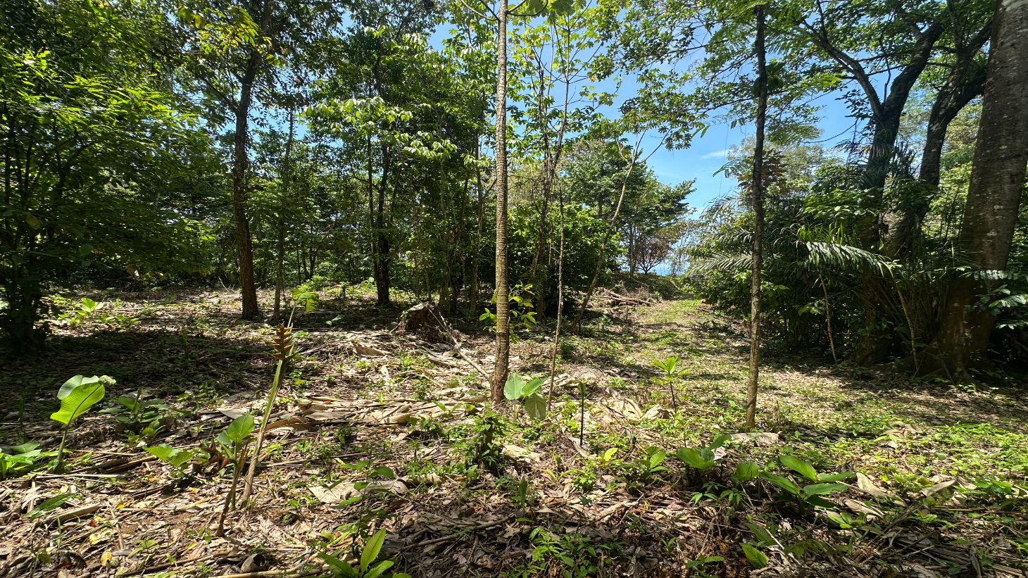 Ocean View Estate Lot with Private Waterfall – Uvita selected