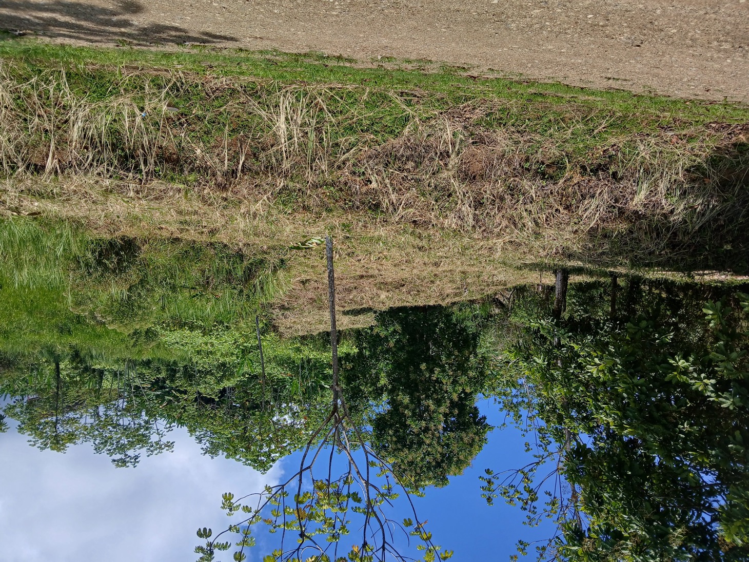 image-selected