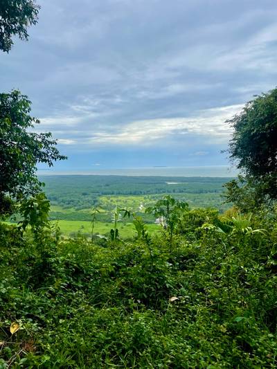 61.78 Acres of Oceanview Bliss with Private Waterfall in Tres Rios image 5