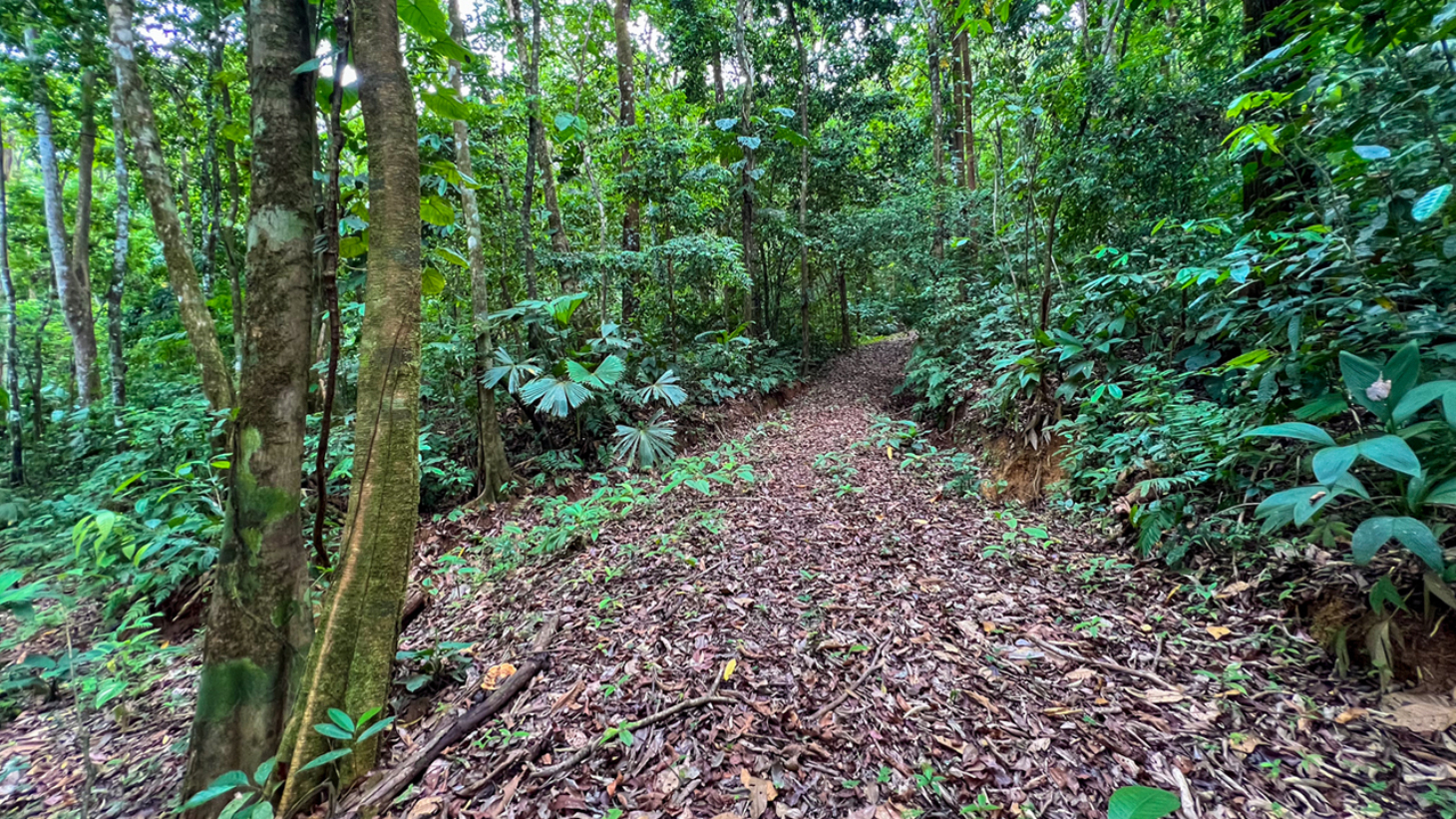 Riverfront Property with Primary Forest Close to Uvita Beaches selected