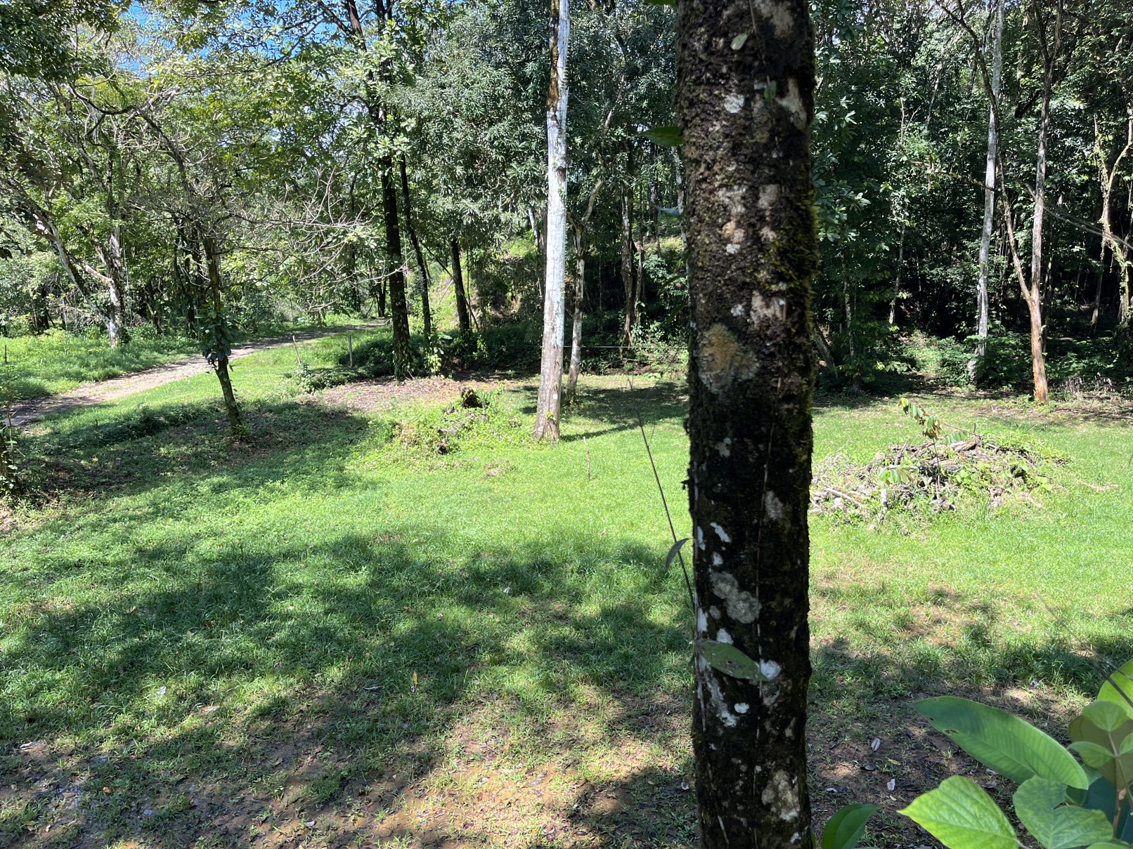 Flat Lot in Tortuga: Your Dream Project Awaits selected