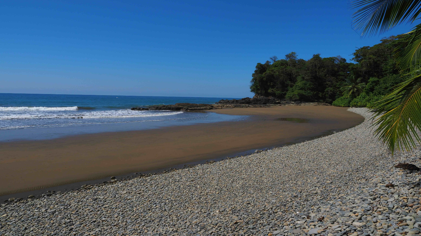 Rare Beachfront Lot Privately Located in Ballena Beach selected