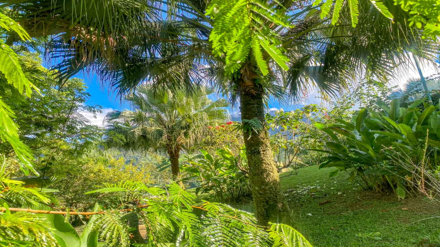 Ocean,Jungle & Mountain View Home in Ojochal | Protected Jungle Setting selected