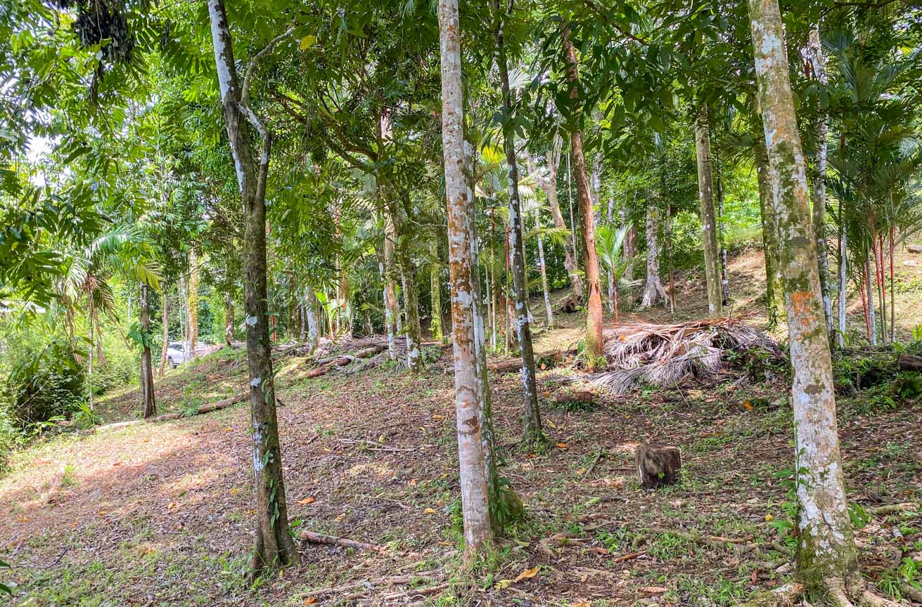 Large Uvita Lot with Whale’s Tail Ocean Views, Sunsets & Legal Water – Ready to Build selected